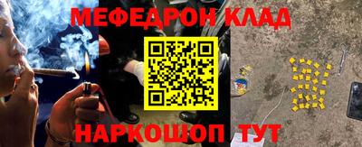 индика Можга