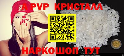индика Можга