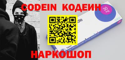 индика Можга