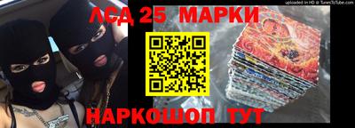 индика Можга
