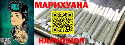 индика Можга