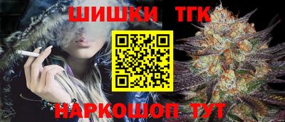 индика Можга