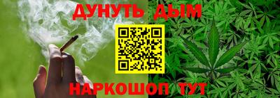 индика Можга