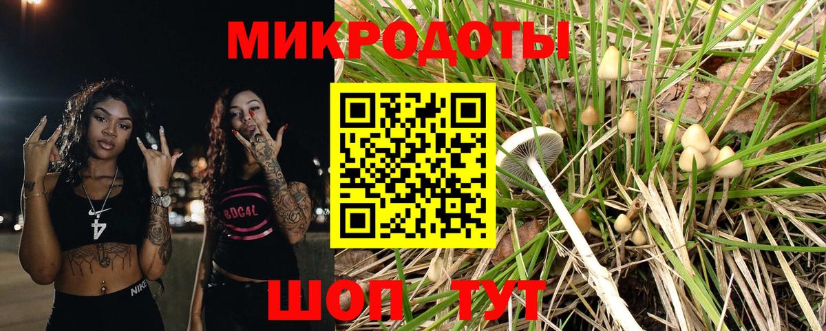 Псилоцибиновые грибы мицелий Урус-Мартан